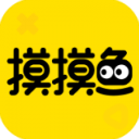 記者：利物浦未就引進伊薩克展開進一步行動
，仍在等待積極信號